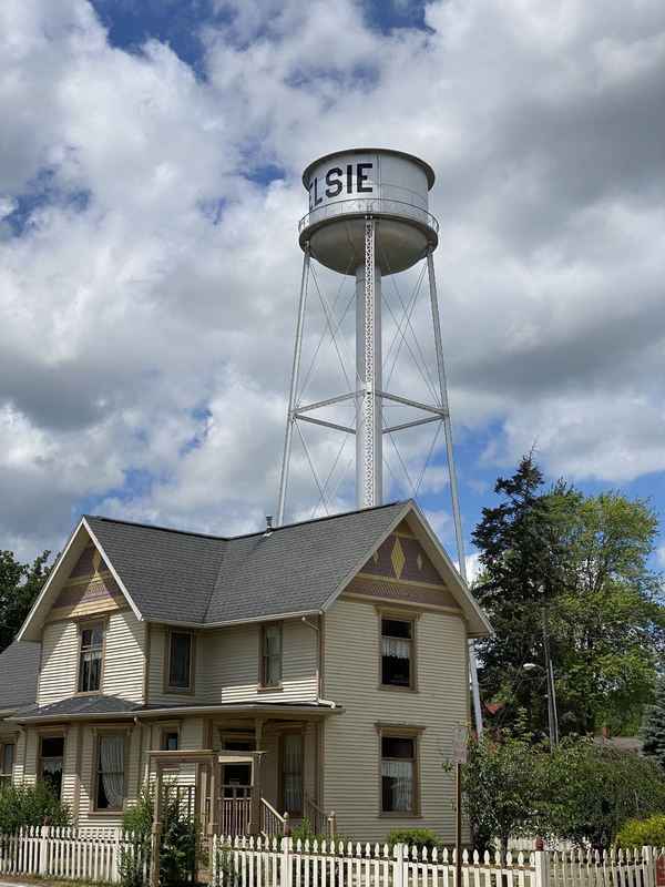 Elsie - July 12 2020 (newer photo)